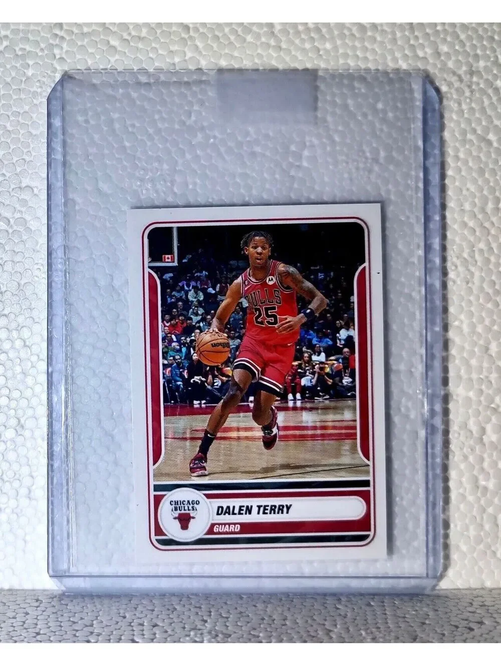 2023-24 Dalen Terry Panini NBA Basketball #163 Sticker Chicago Bulls